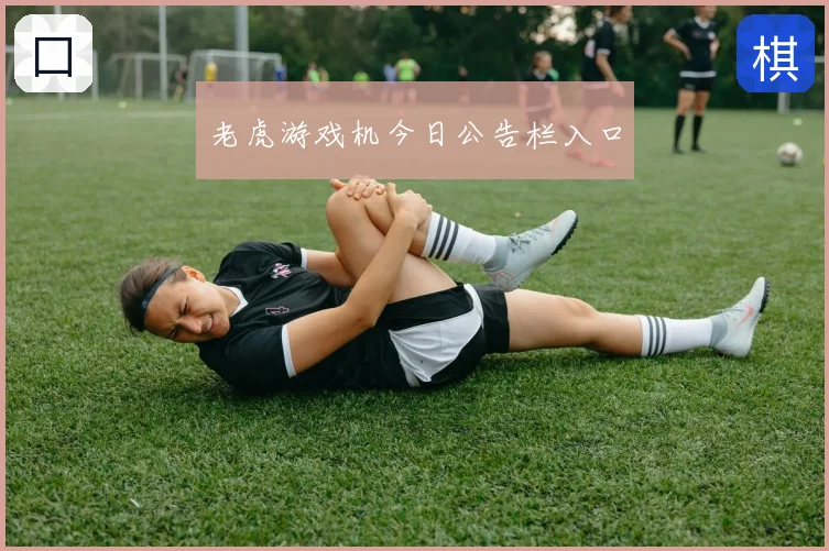 老虎游戏机今日公告栏入口